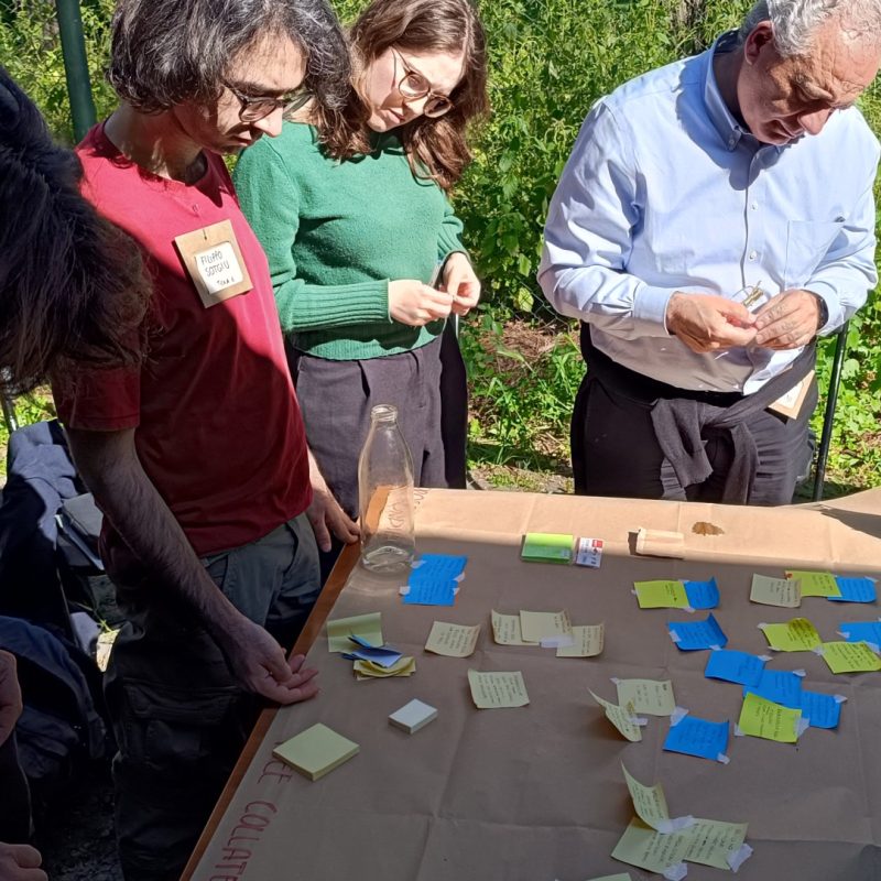 Policy Lab